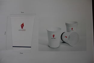 校園文化產(chǎn)品開發(fā)中的廣告策劃與設(shè)計(jì)賞析